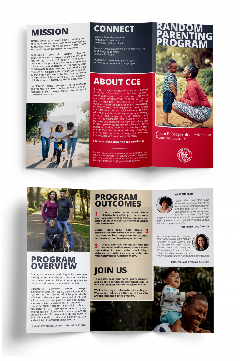Image of trifold brochure