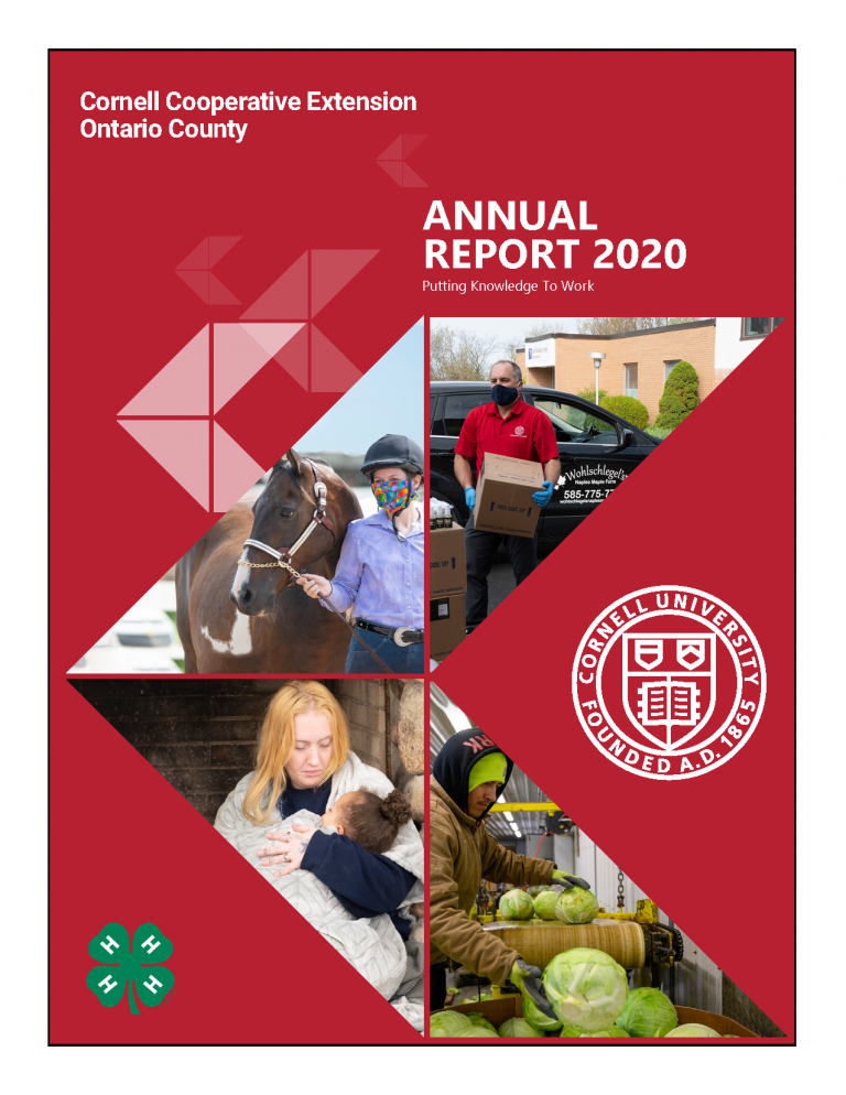 Cover of CCE Ontario Annual Report 2020